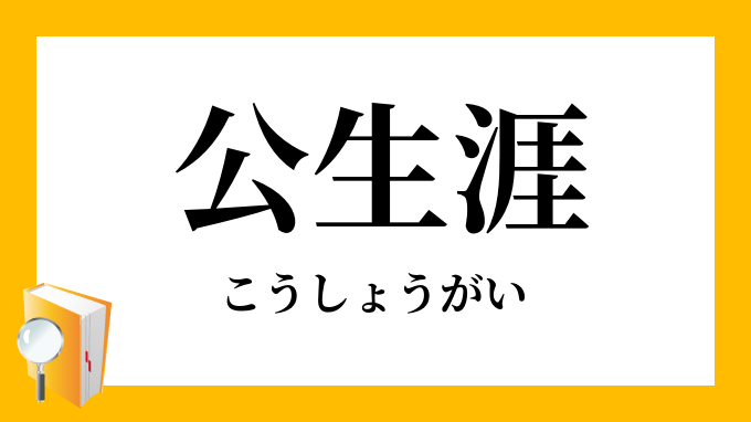 公生涯