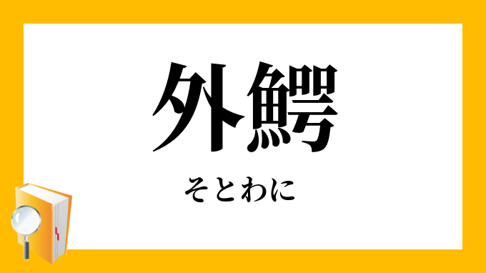 外鰐